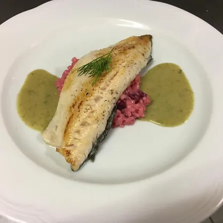 Hotel Radhotel Schischek Oberpurkla